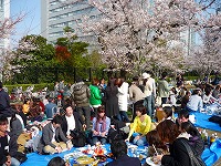 Hanami Party - Networking Party